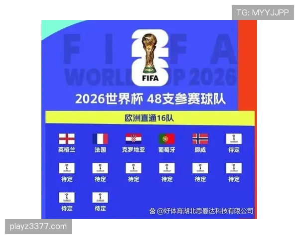 2026世界杯D组完整赛果：6场小组赛信息整理
